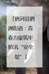 唐河县泗洲街道：青春力量筑牢防汛“安全堤”